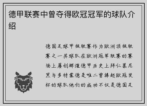 德甲联赛中曾夺得欧冠冠军的球队介绍